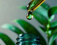 cold pressed oil dripping